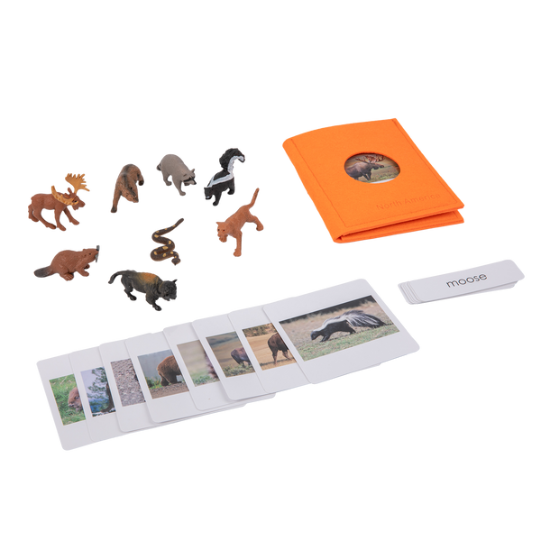 Adena Montessori Animals of the seven continents Montessori Toys for Kindergarten