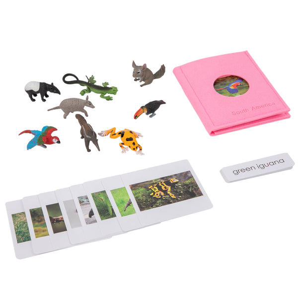 South American Wildlife objects with Sorting Cards and Tray