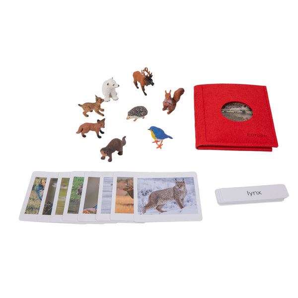 European Wildlife  Sorting Cards EN with album