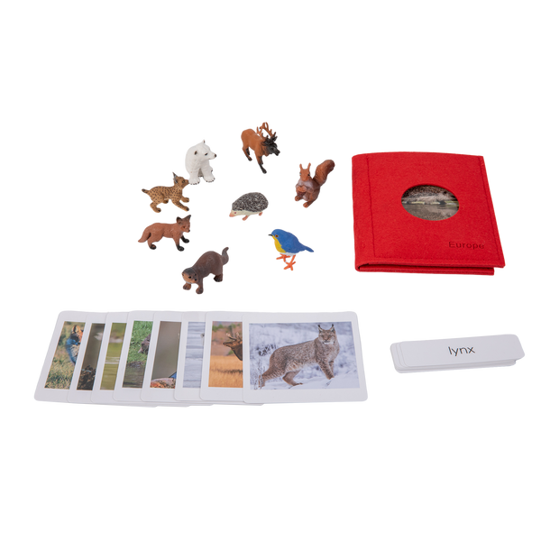 Adena Montessori Animals of the seven continents Montessori Toys for Kindergarten