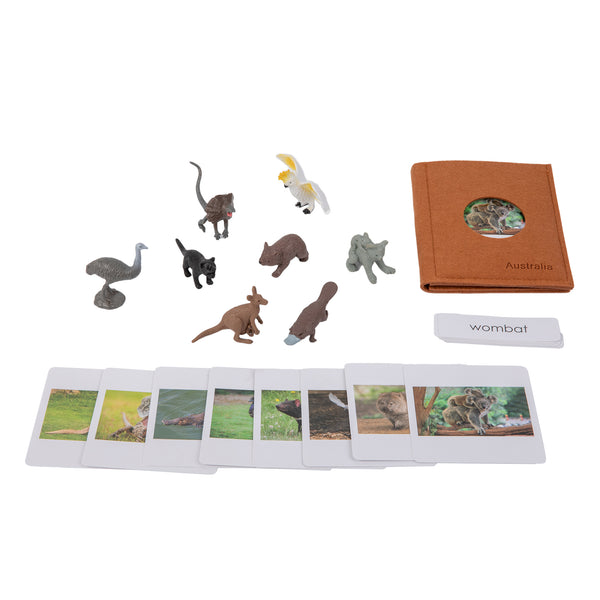 Australia  Wildlife  Sorting Cards EN with album