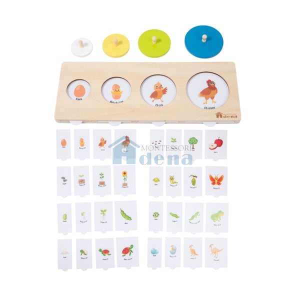 Adena Montessori Materials Multiple Shapes Puzzle with cards