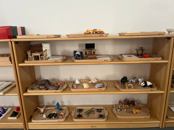 Replicas Objects -Ocean Animals with wooden tray
