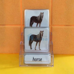 Three-Parts Cards w/ Stand - Animals（20 sets）
