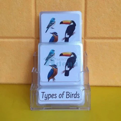 Three-Parts Cards w/ Stand -Types of Birds（16 sets）