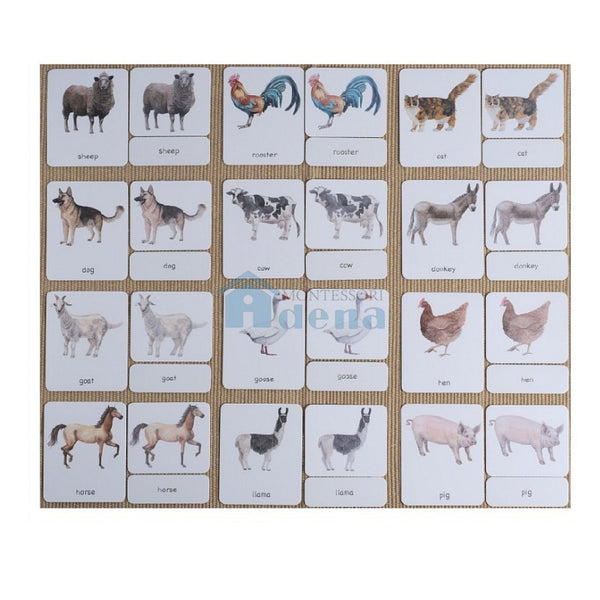 Farm Animals 3-Part Cards English w/ Stand