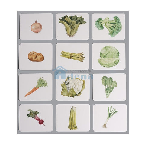 Nomenclature/Classified Cards for IC