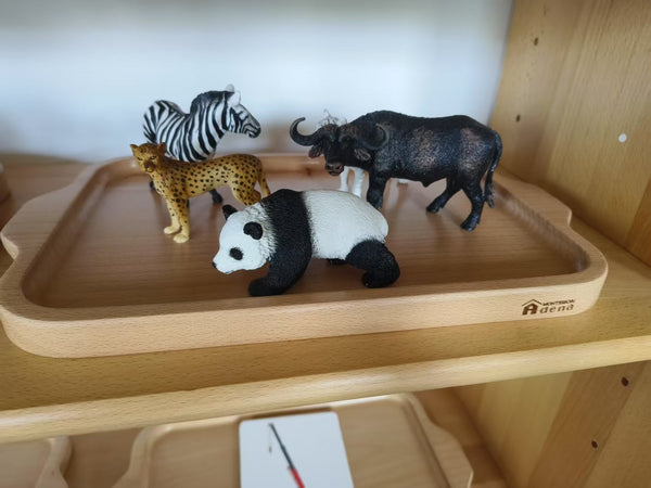 Replicas Objects