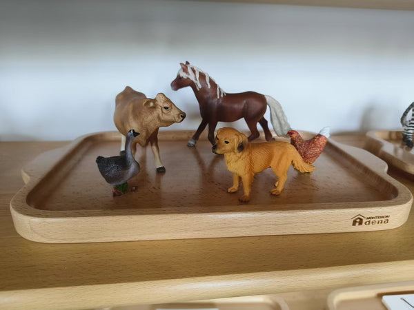 Replicas Objects