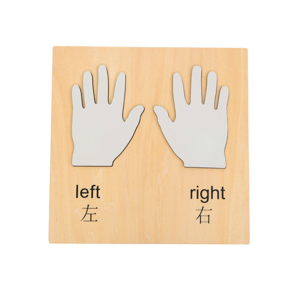 Hands（right and left hand）