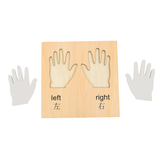 Hands（right and left hand）